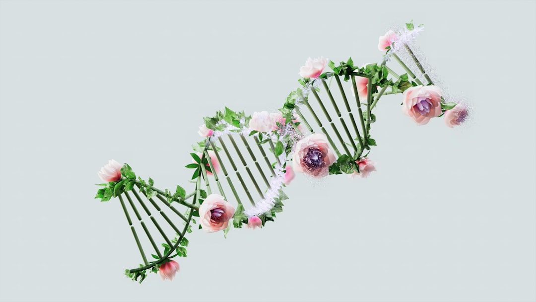 DNA Methylation and Repair: What the Emerging Research Actually Shows — holistic health