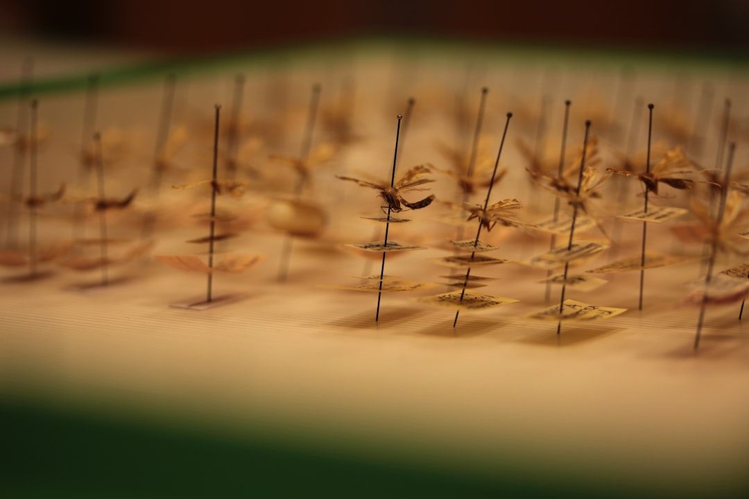 What Is Acupuncture? A Beginner’s Guide — holistic health