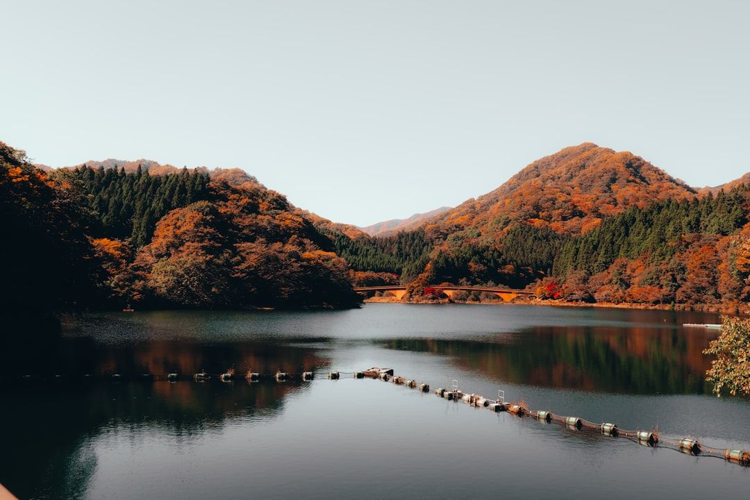 Usui Reiki Research: Where Traditional Practice Meets Modern Inquiry — holistic health