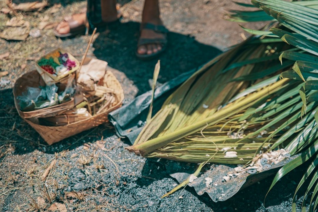 Pachamama Rituals: A Practitioner's Guide to Earth-Based Healing — holistic health