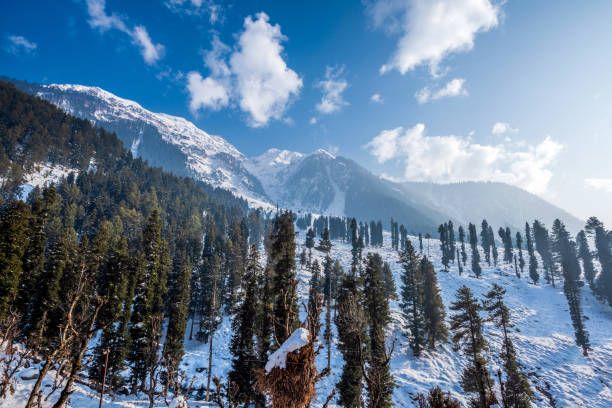 Get Your best Deal for travelling kashmir best and affordable travel packages