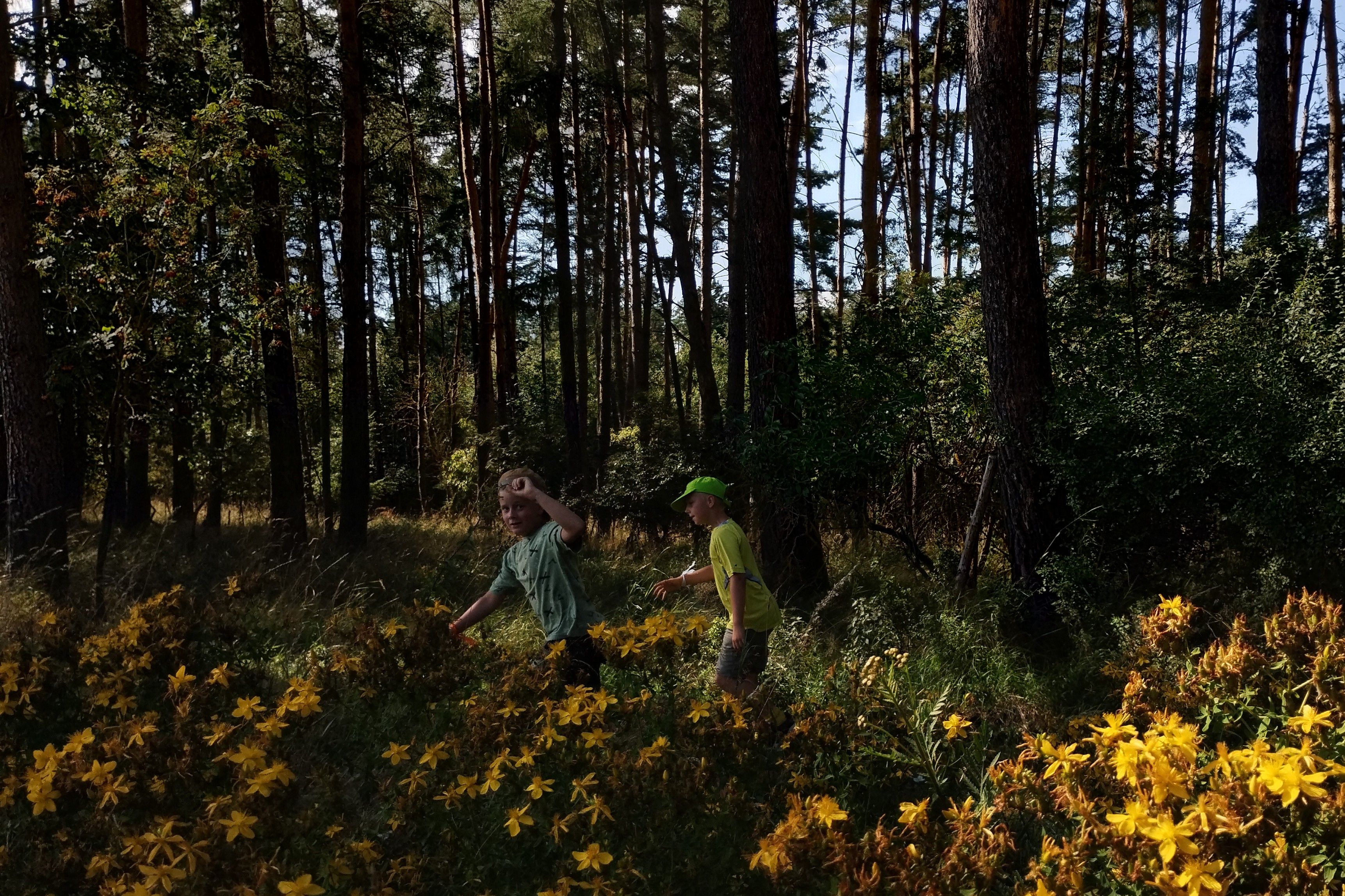 Táborová fotografie