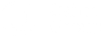 Cairn Group logo