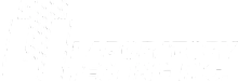 Laboratory Testing Inc. logo