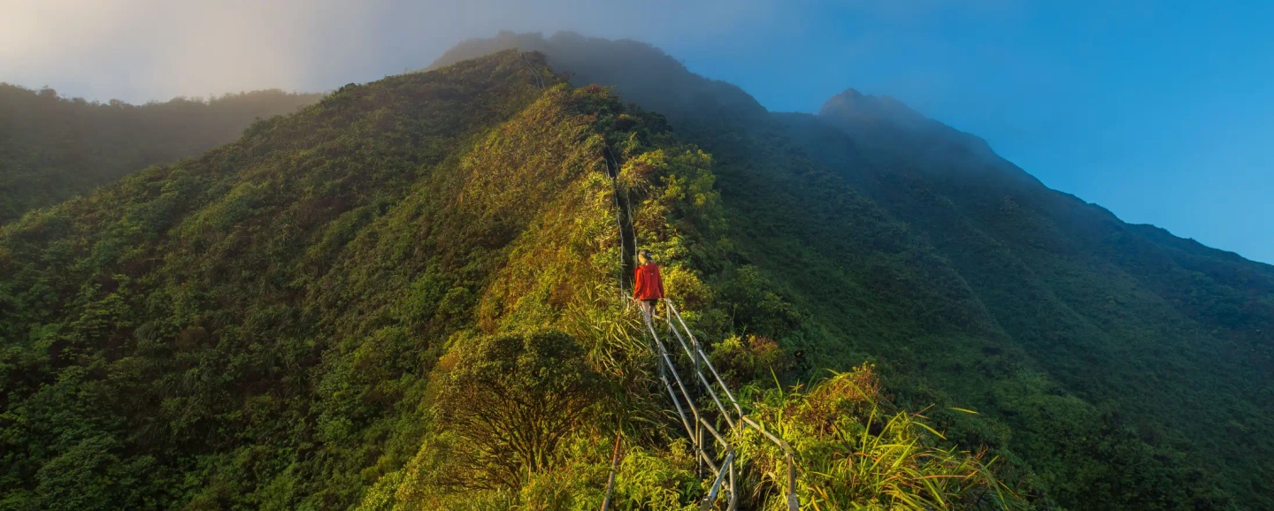 Frosch boosted customer care with efficient software