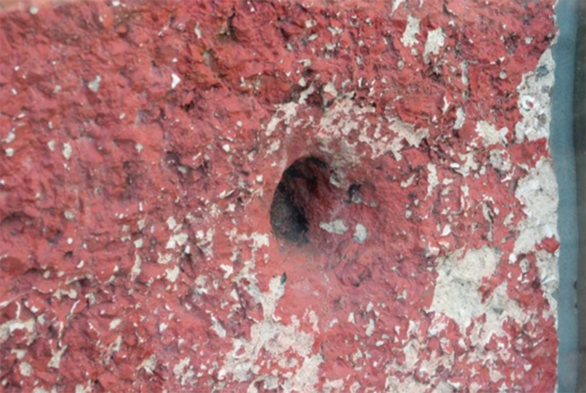 HOLES IN THE COLLECTION