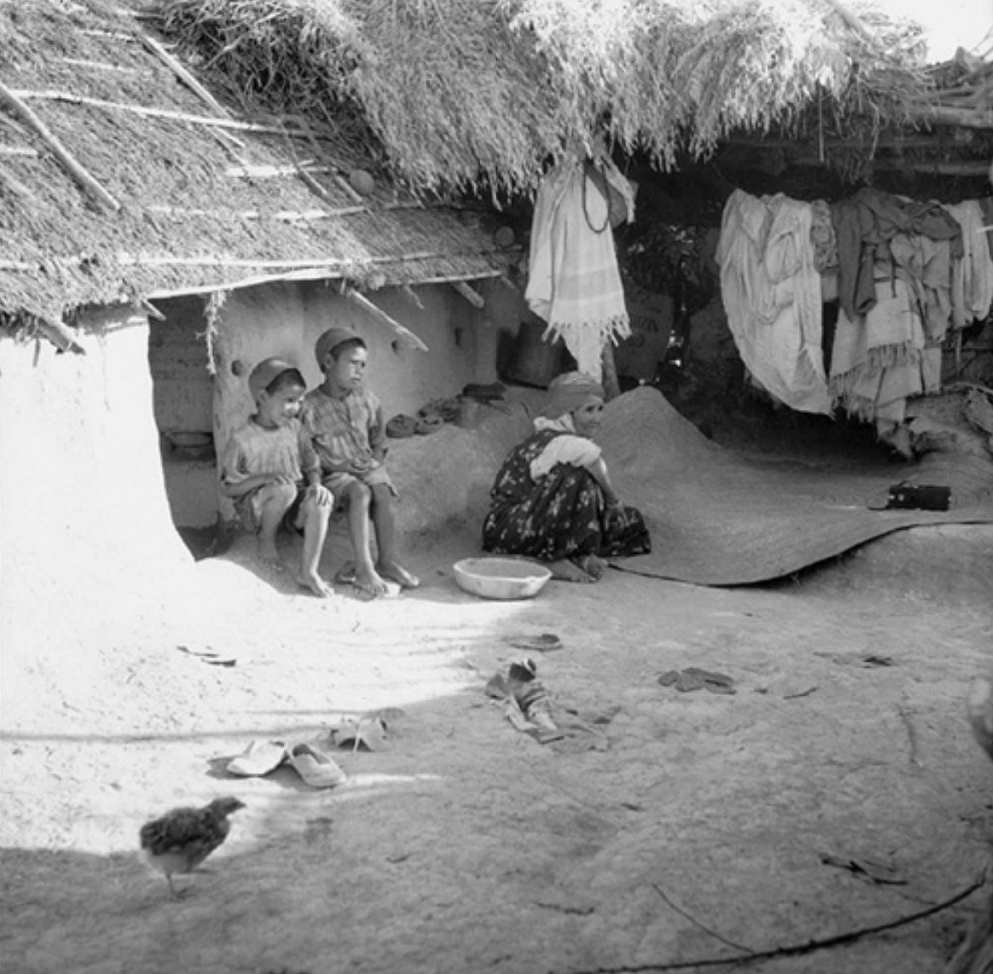 Pierre Bourdieu, Images d'Algerie, une affinité élective (2003)