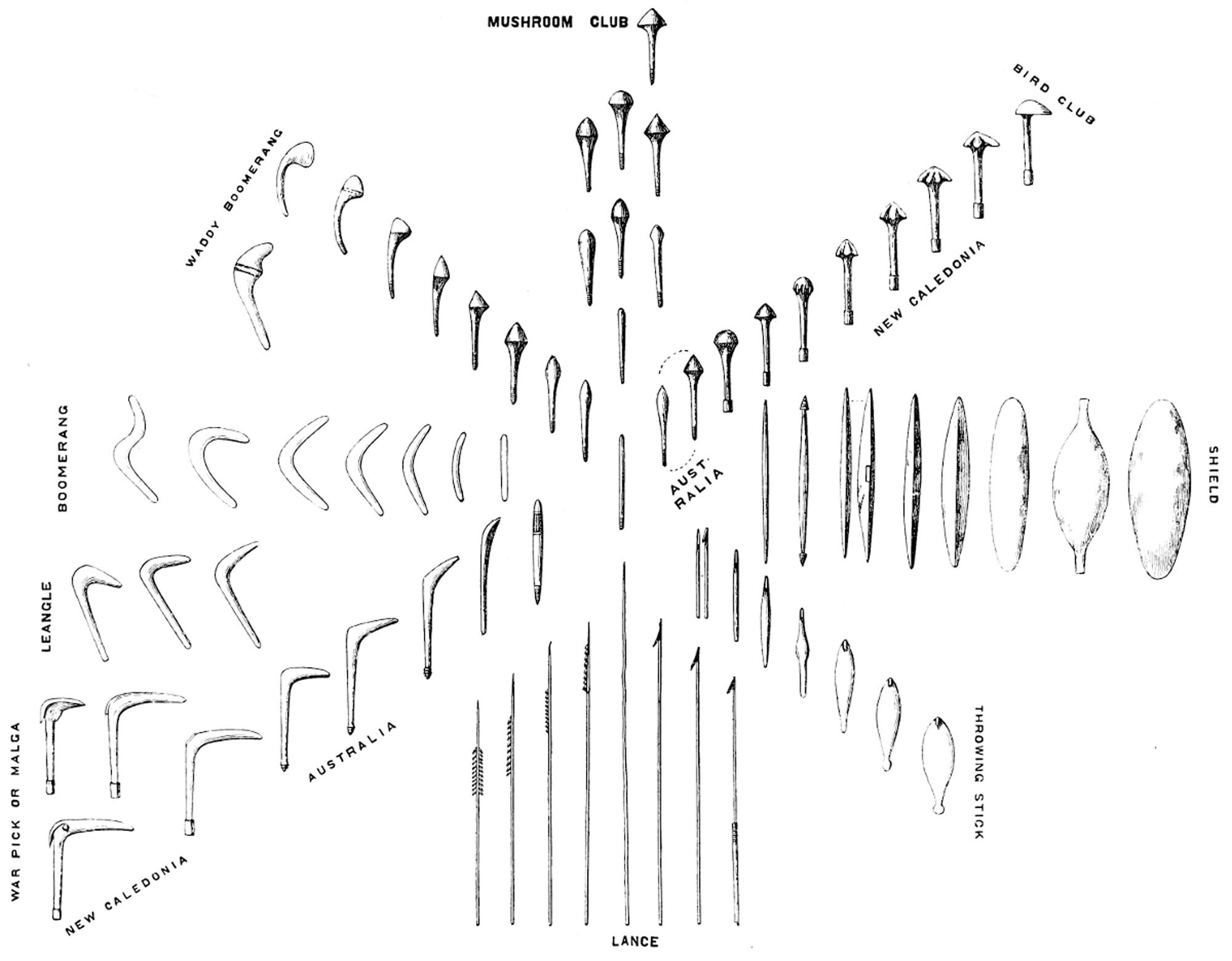 ‘Clubs, Boomerangs, Shields and 5 Lances.’ An illustration from Henry Lane Fox, The Evolution of Culture (Pitt Rivers Museum, 1875).