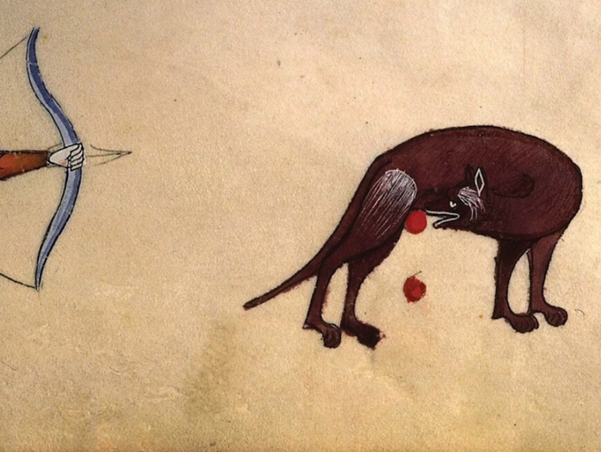 Self-castrating beaver in 'Neighboring Animals'.