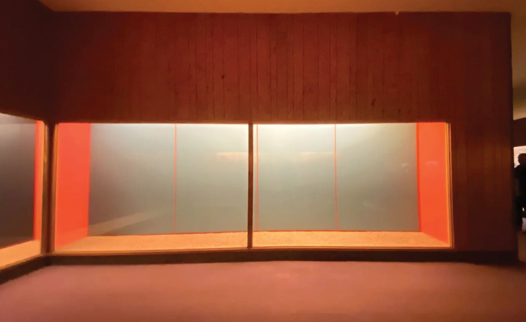 Empty display case at the American Museum of Natural History (AMNH). Photo: James Messerschmidt.