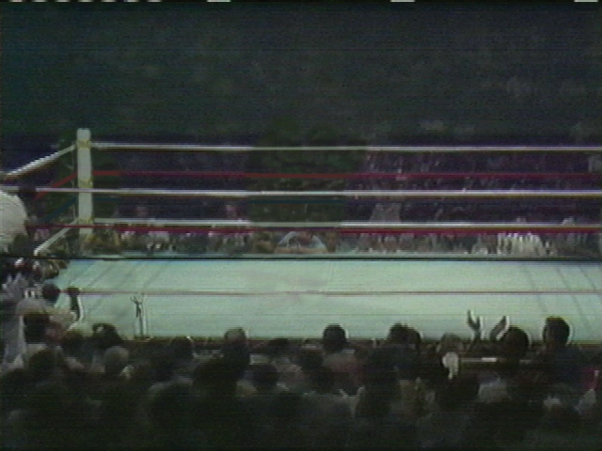 Paul Pfeiffer, 'The Long Count (Thrilla in Manila)', (2001). Digital video loop, LCD screen, mounting arm, sound.  Duration 2 mins. 58s. 15.2 x 17.8 x 97.5 cm (6 x 7 1/8 x 38 3/8 inches). Courtesy of the artist and Thomas Dane Gallery. 