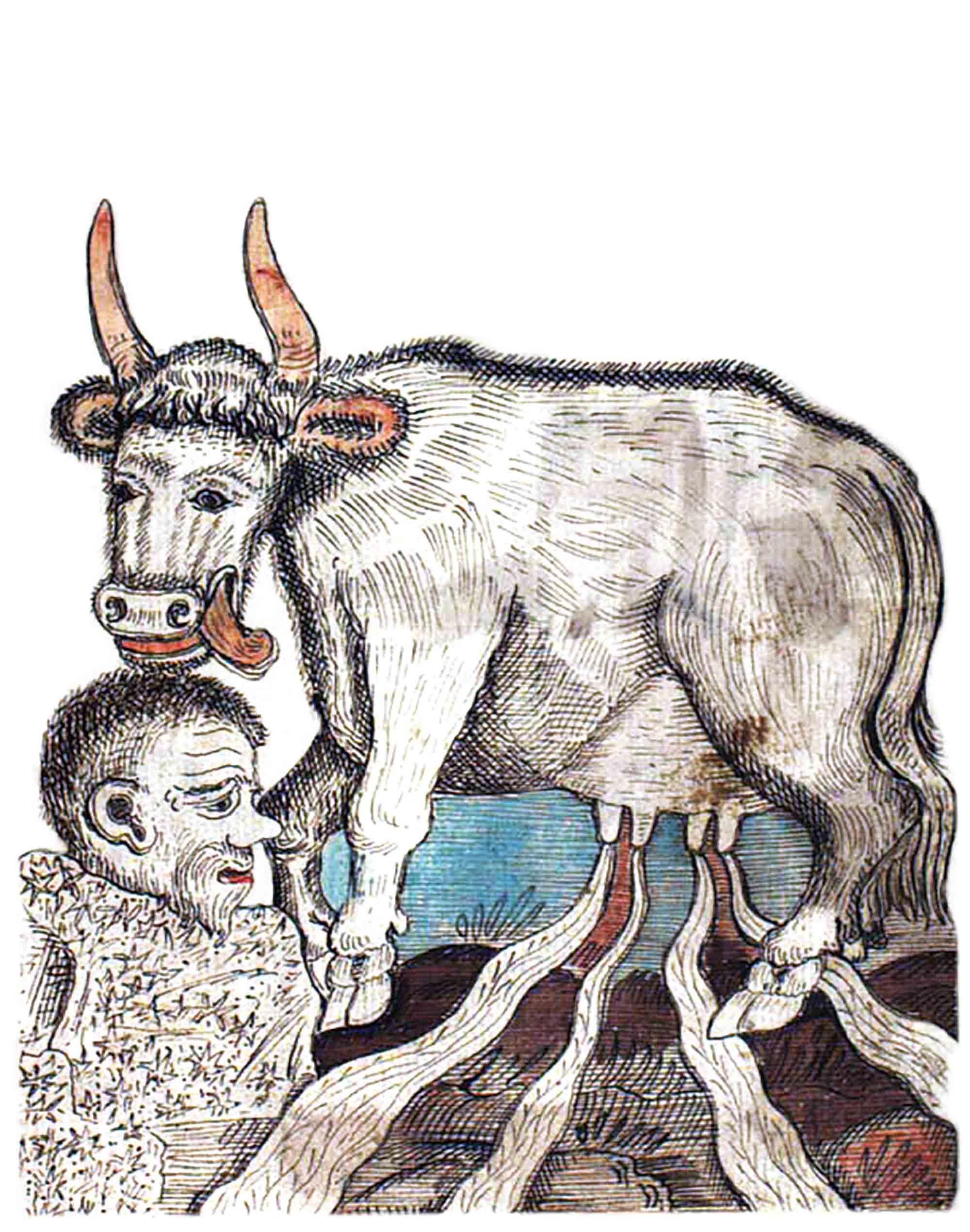 Auðumbla and Búri
From the 18th century Icelandic manuscript, NKS 1867 4to, 
The Royal Library, Denmark