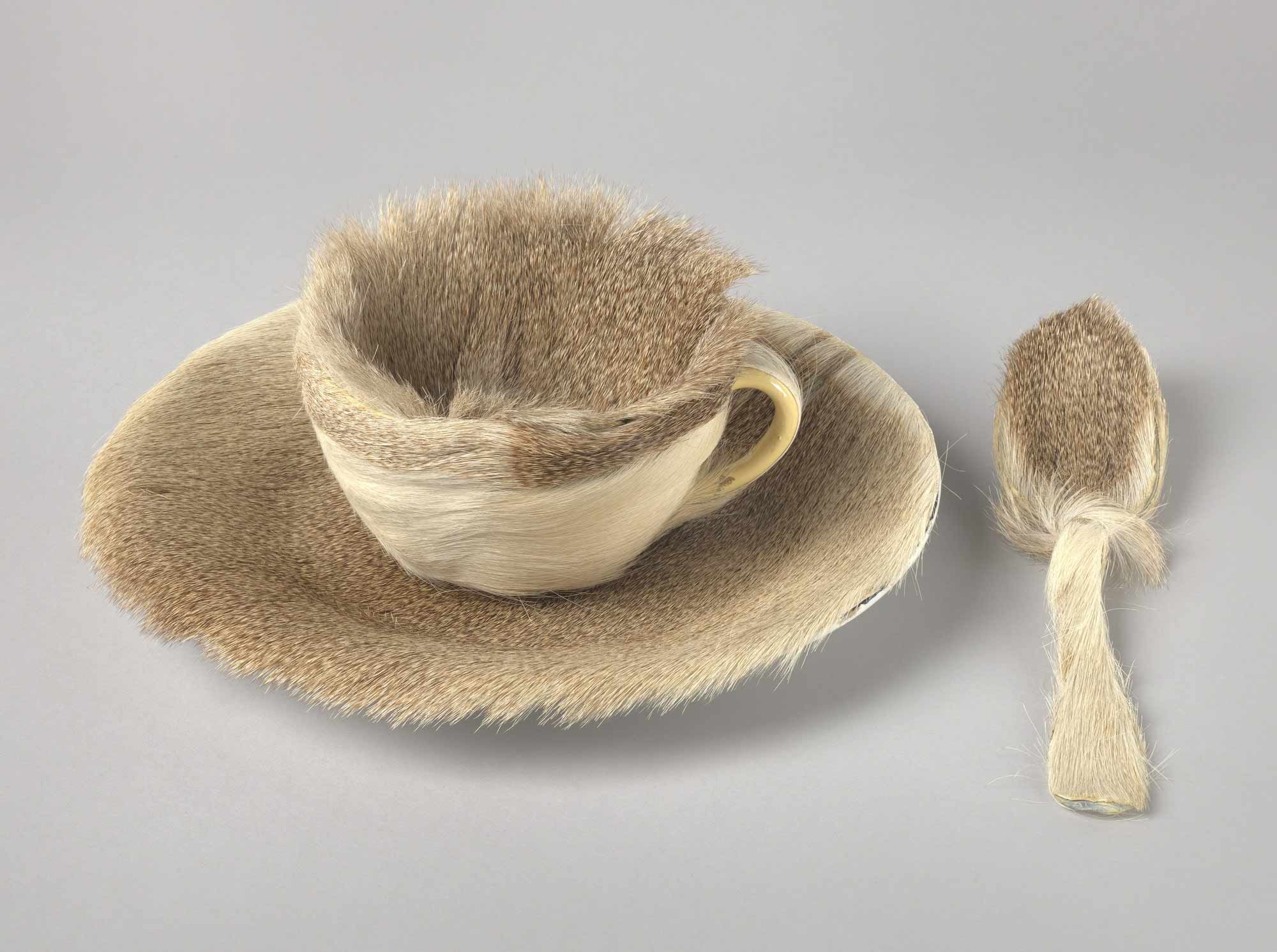 Fig. 7. Meret Oppenheim, Object (1936). Source: MoMA
