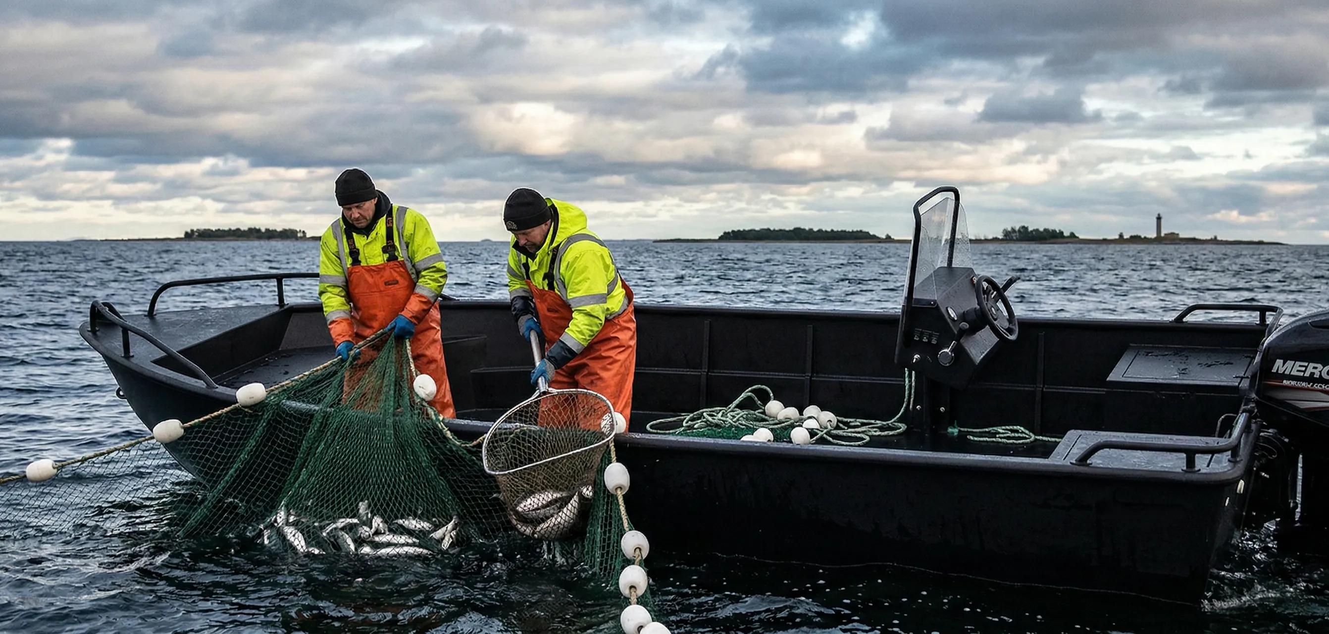 Two fishermen in hi-vis hauling a net of fish over the low bow of a black HDPE workboat