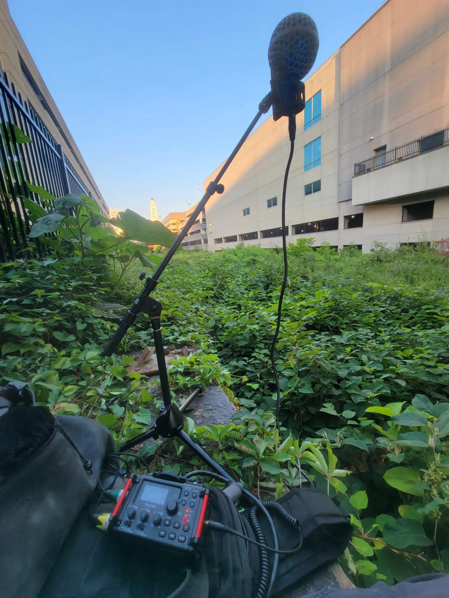 Photo by eo Studios. Sound equipment recording sounds from an overgrown park, surrounded by buildings.