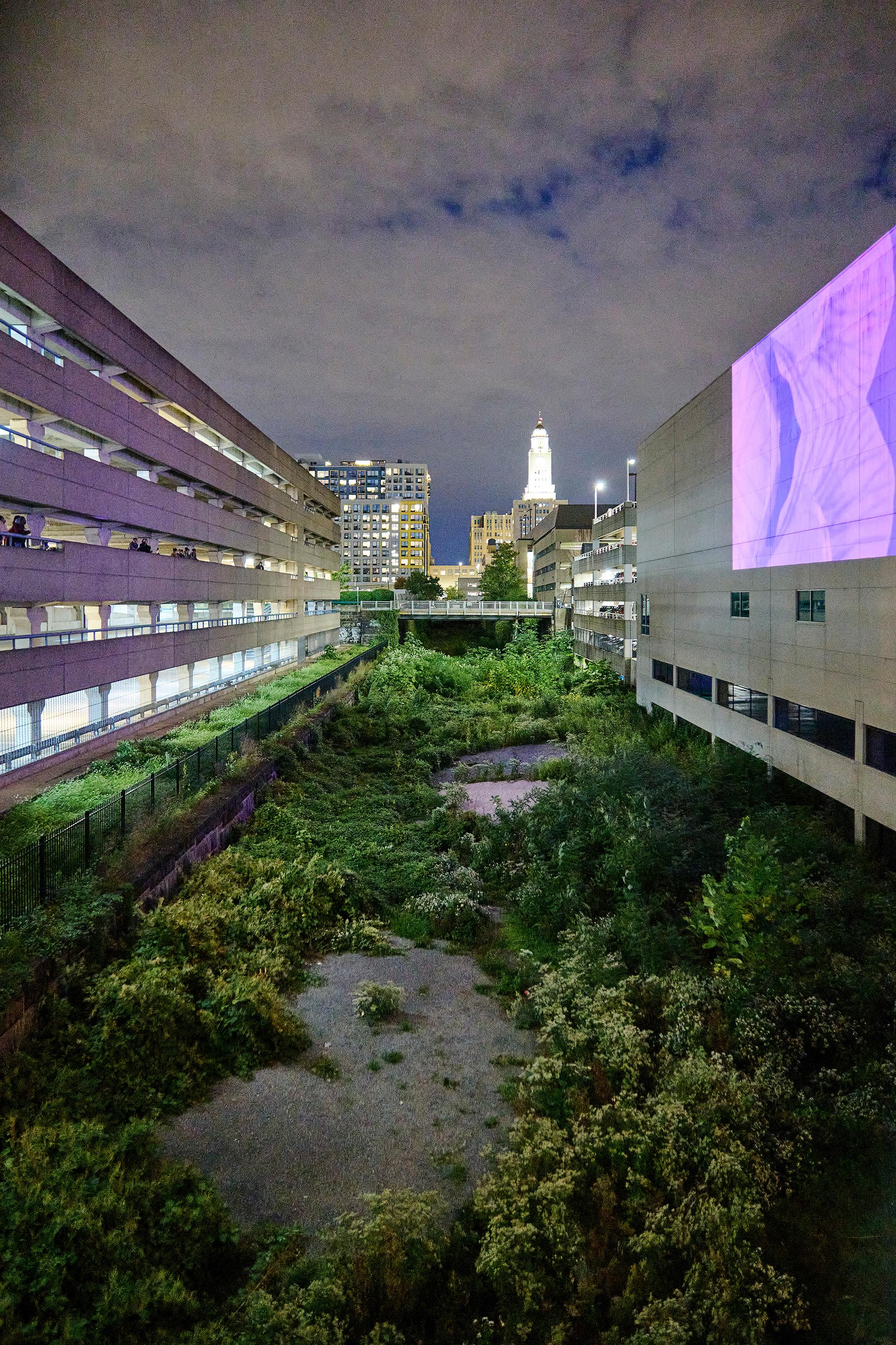 Photo courtesy of Albert Yee. Night time picture of the overgrown cut with building surrounding with colorful projection.