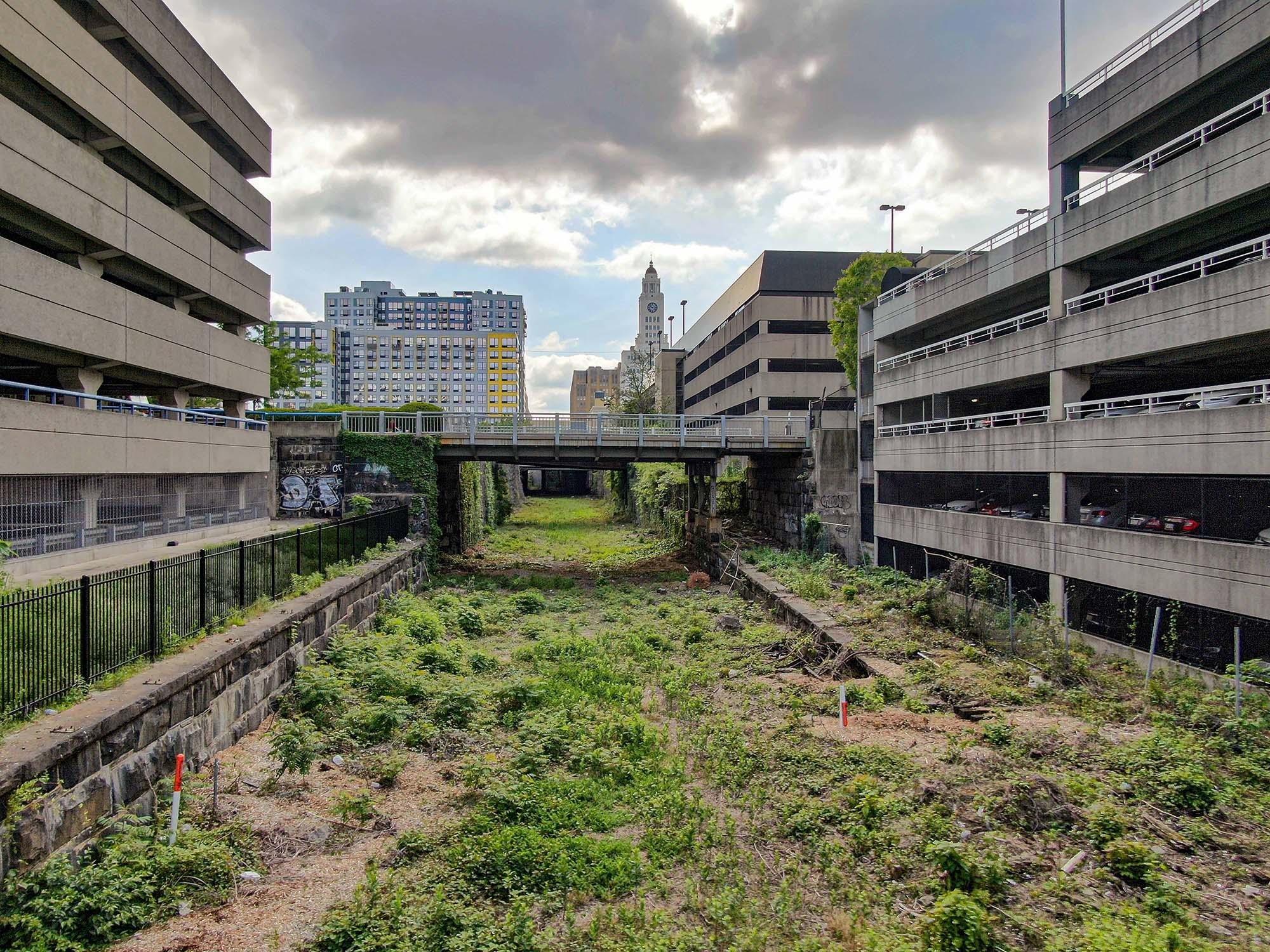 Picture of the Cut, overgrown rail road tracks with buildings around.