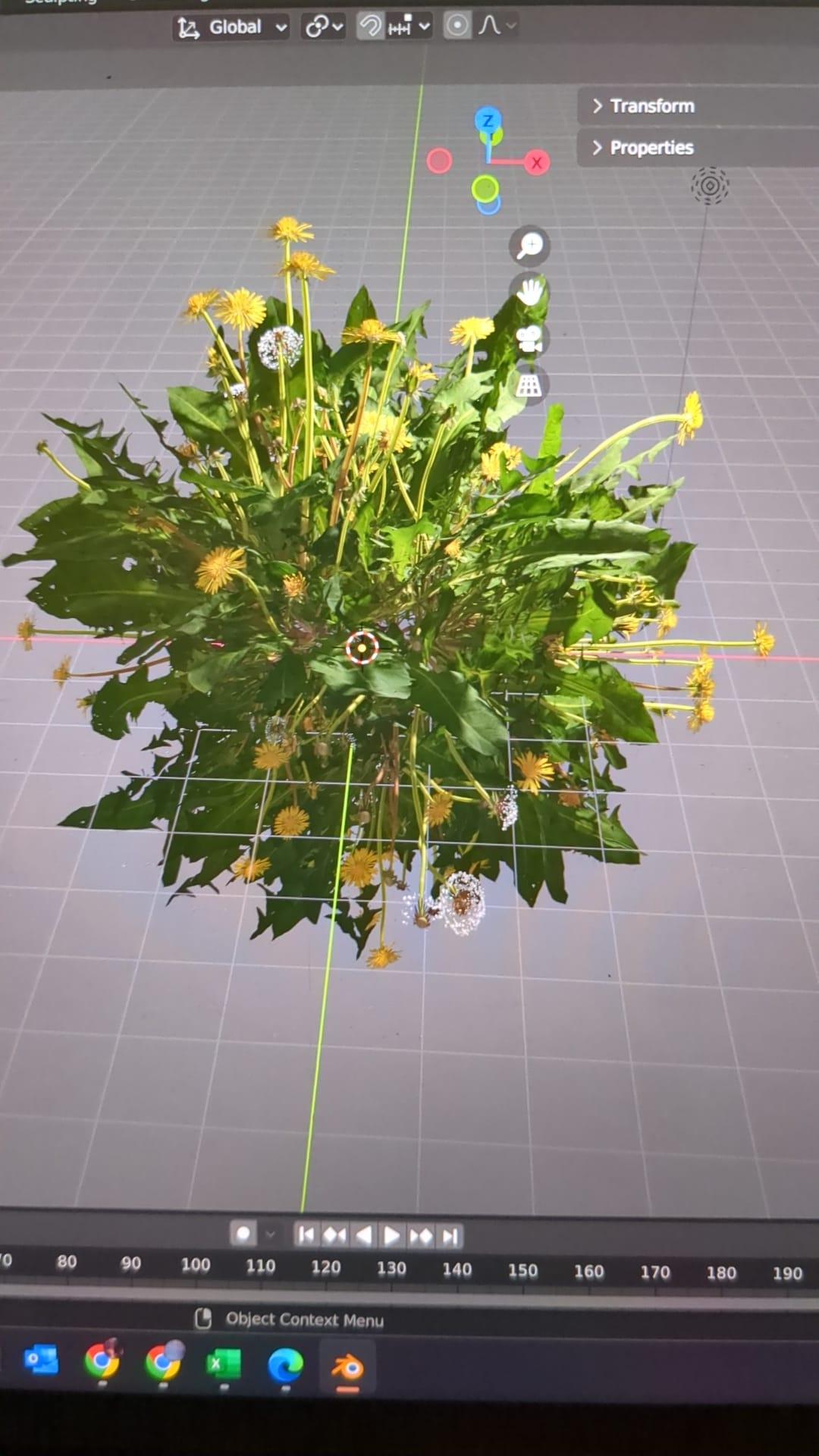 Photo by eo Studios. Rendering model of a fern with yellow flowers.