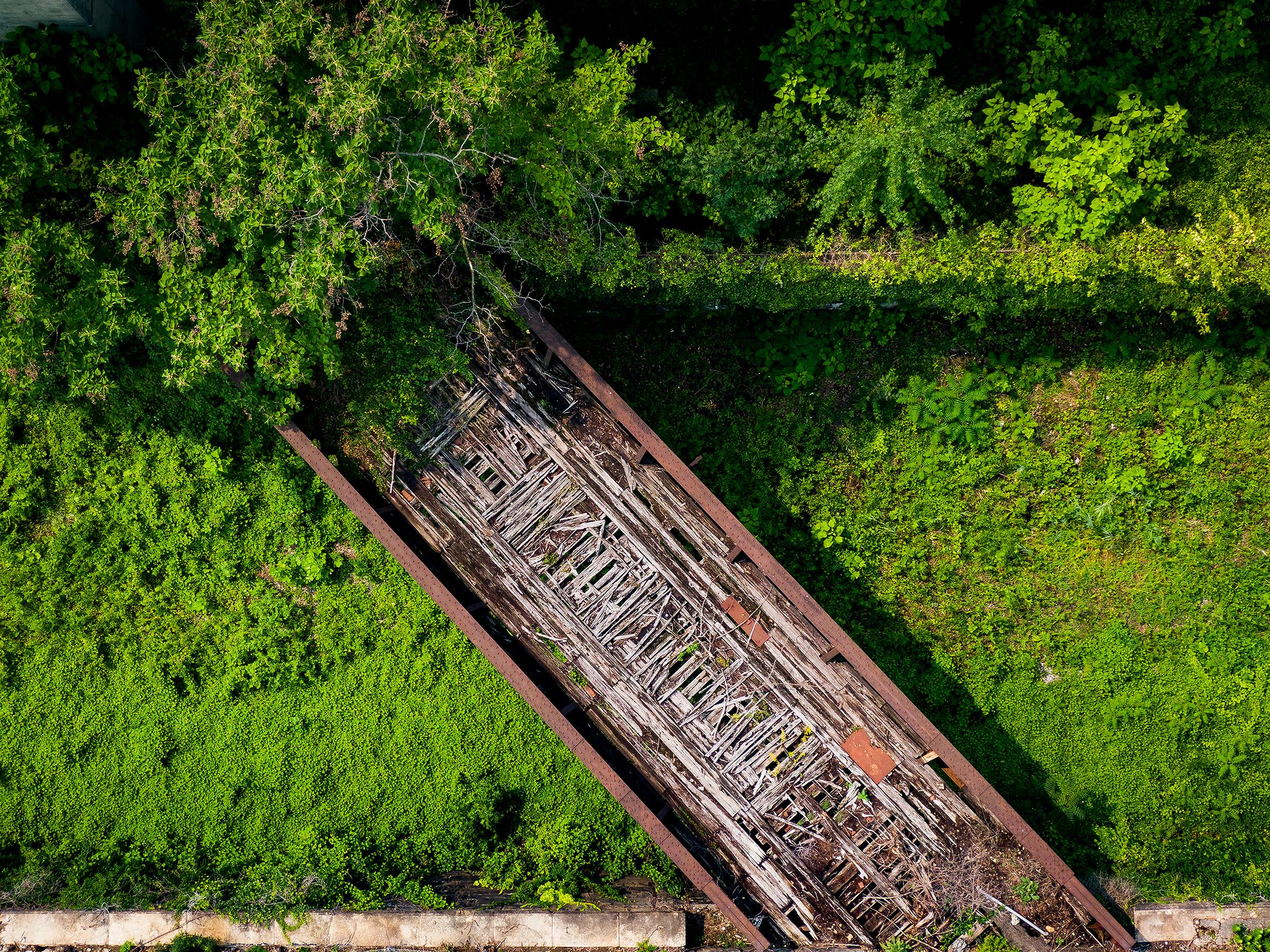 Photo courtesy of Ryan Brandenberg. Overhead drone shot of the rail track, with vibrant greenery sourounding it.