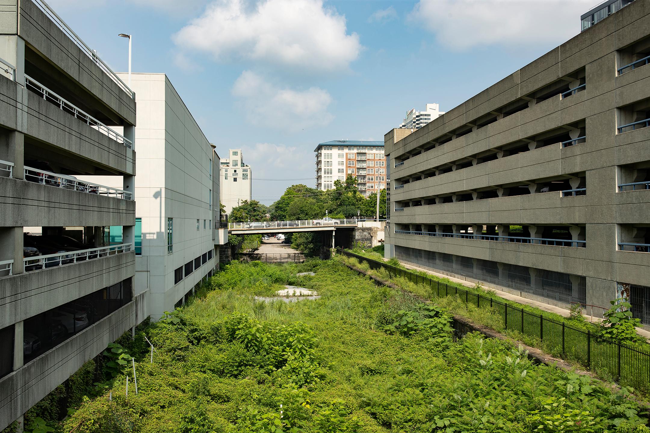 Photo courtesy of Ryan Brandenberg. Green overgrown plants fill in the space between buildings and below bridge.
