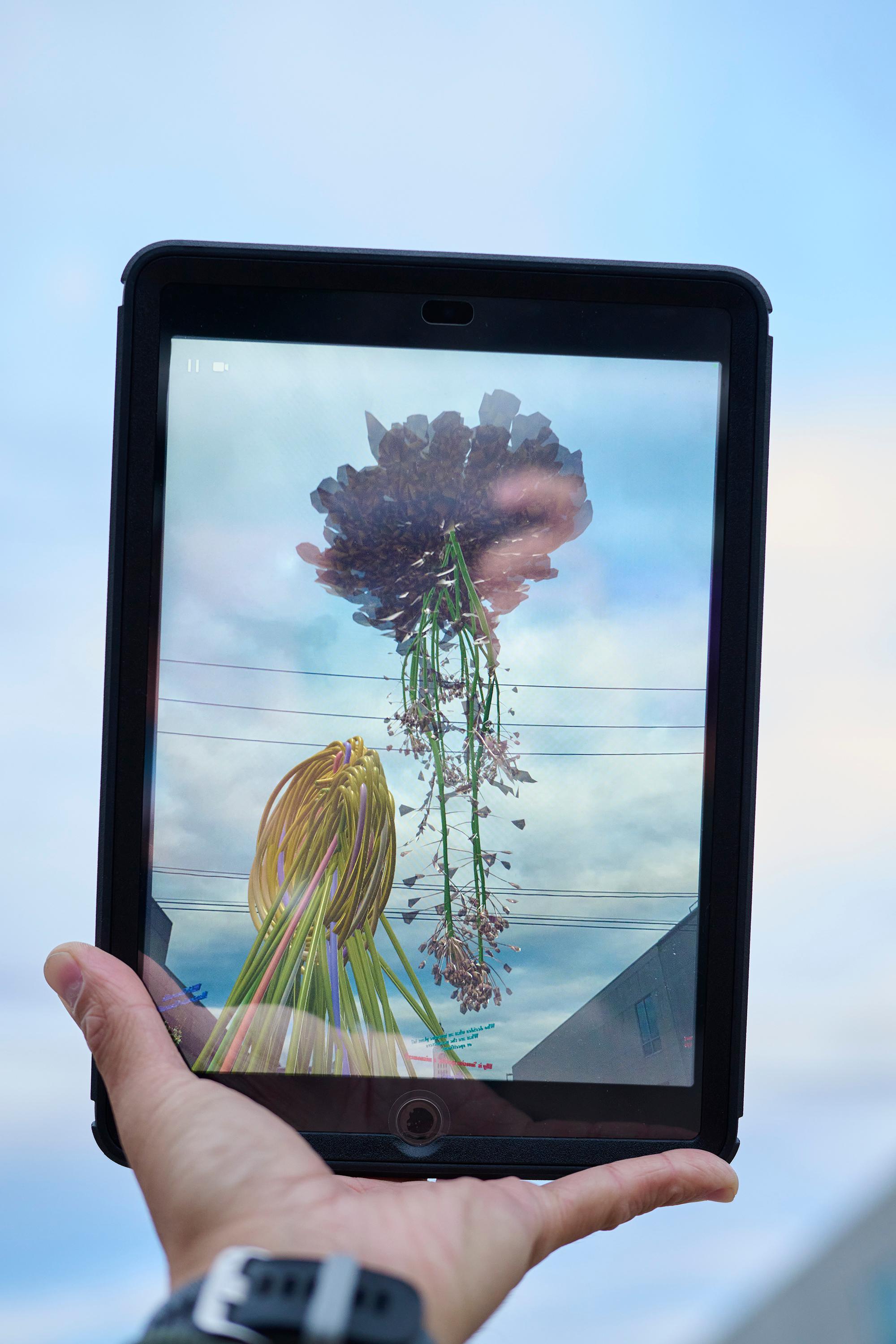 Photo courtesy of Albert Yee. IPad being held up to the sky showing the digital Invasive Species exhibit.