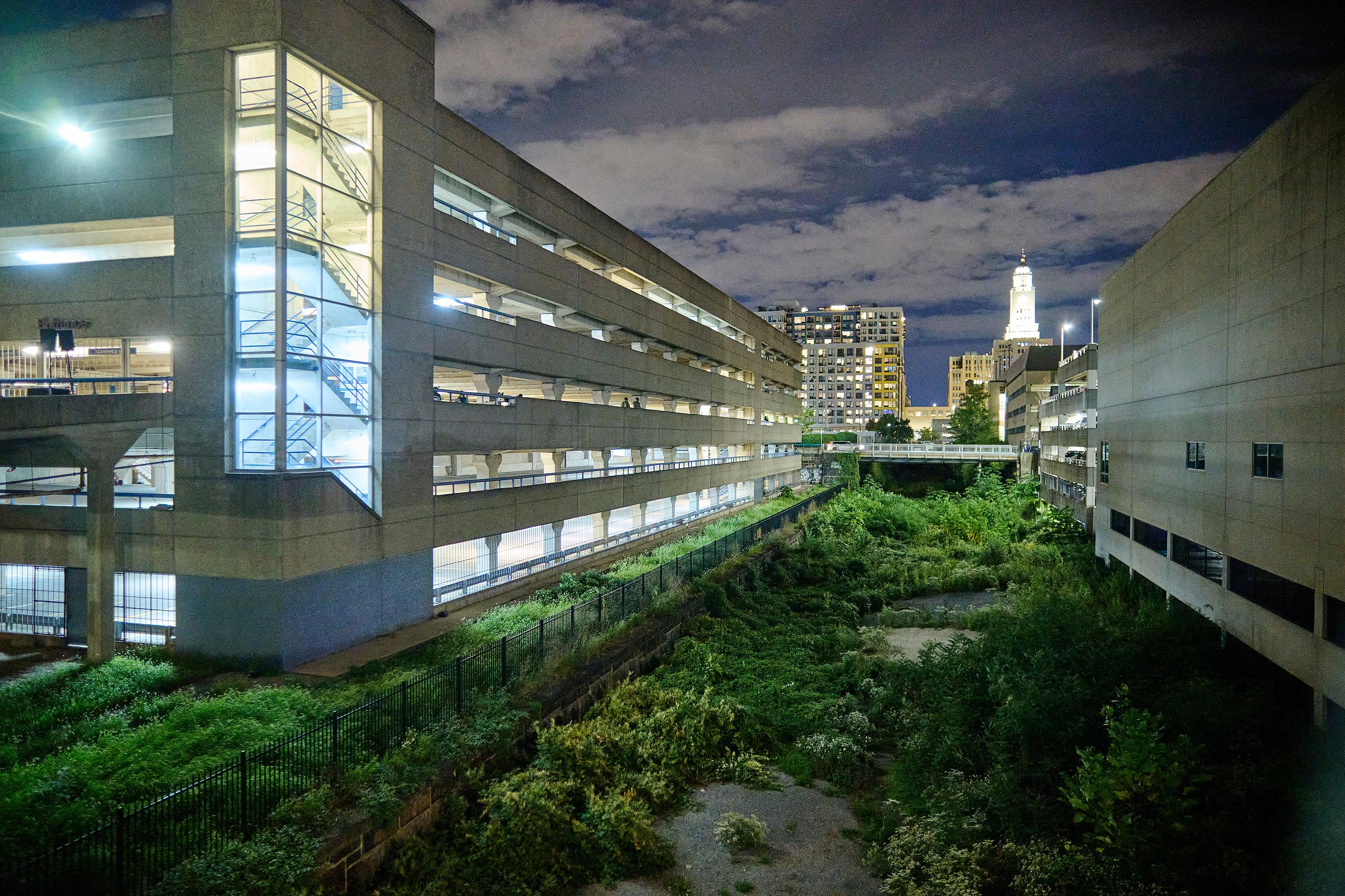 Photo courtesy of Albert Yee. Overgrown lot in between building with skyline in the background at night.