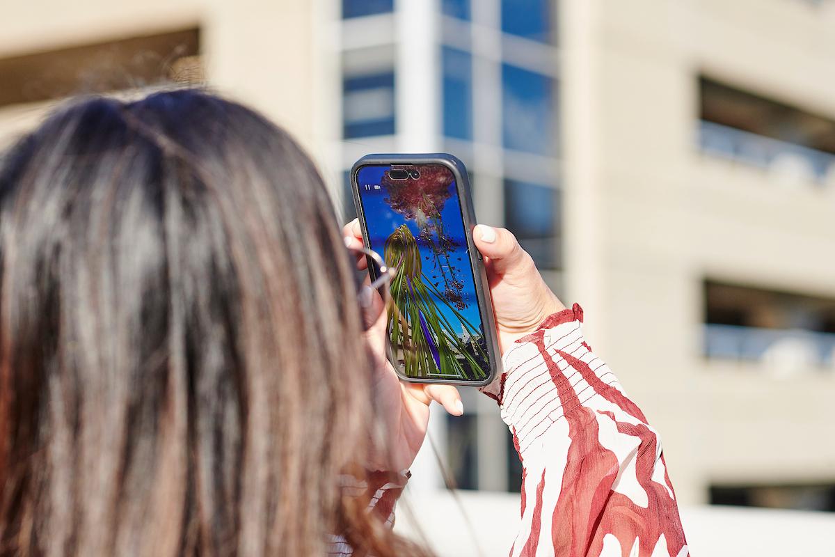 Photo courtesy of Albert Yee. Person outside holding phone up to see Invasive Species digital exhibit.