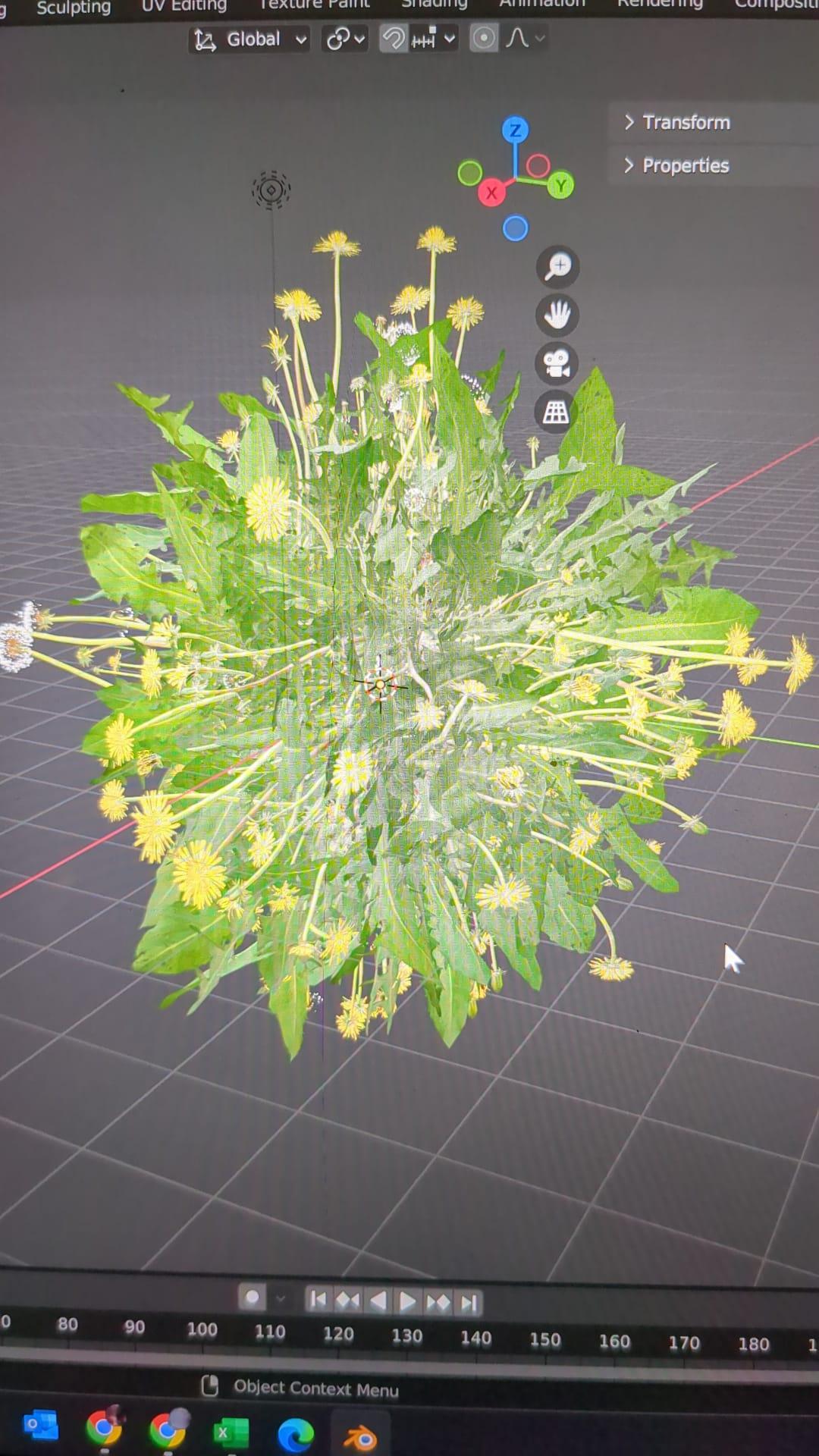 Photo by eo Studios. Rendering model of a fern with yellow flowers.