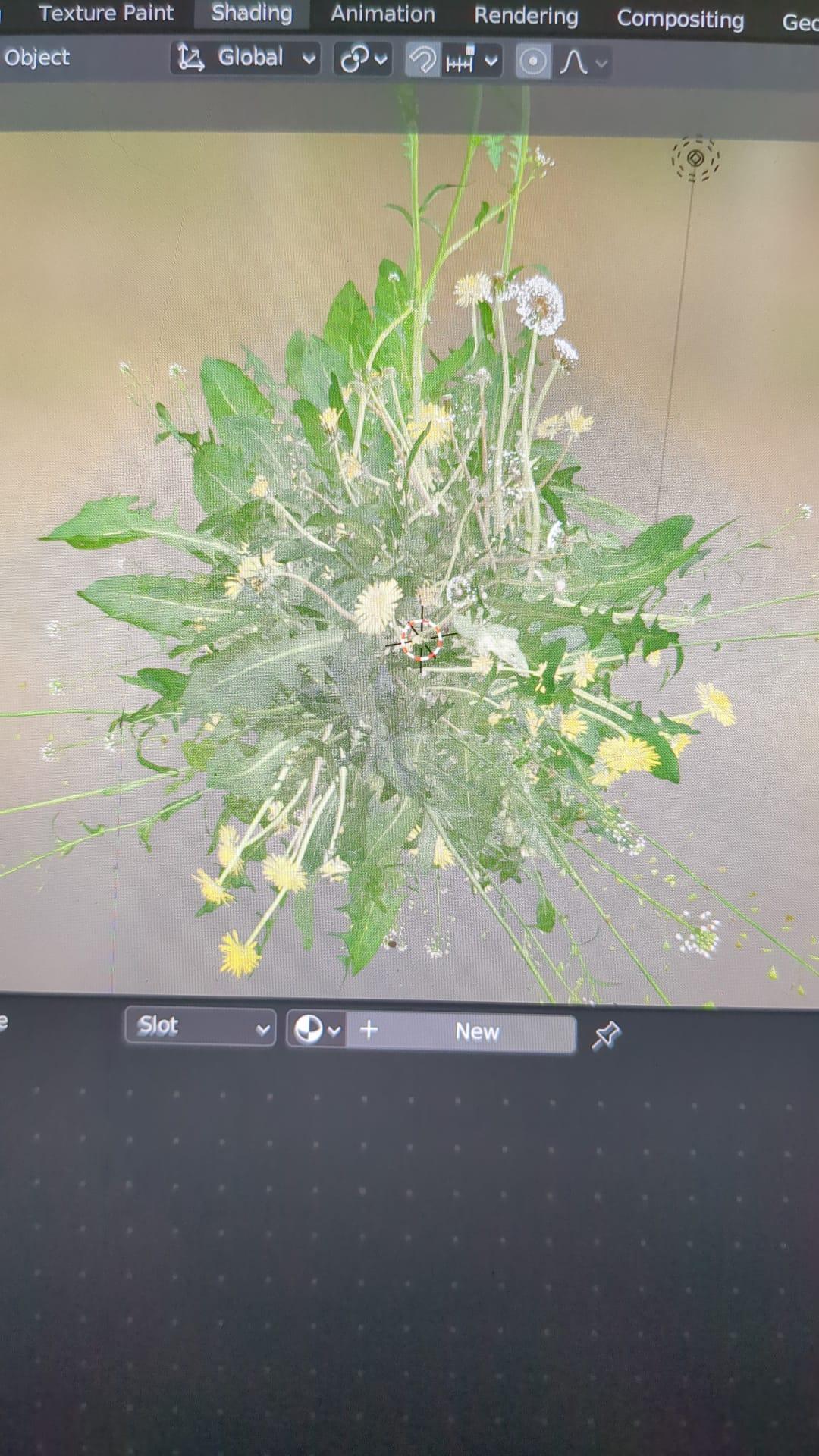 Photo by eo Studios. Rendering model of a fern with yellow flowers