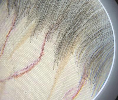 Feine Knüpfknoten | Foto: Michael Badent © Michael Badent