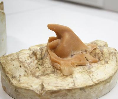 künstliche Nase für Hexe | Foto: Michael Badent © Michael Badent