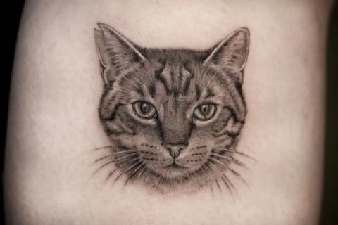 Mikrorealismus-Tattoo: Porträt einer getigerten Katze mit feinen Schnurrhaaren