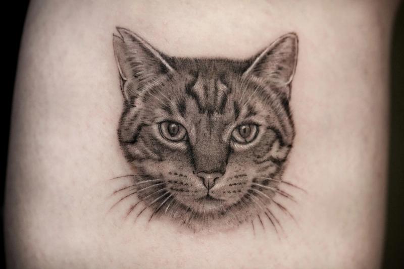Mikrorealismus-Tattoo: Porträt einer getigerten Katze mit feinen Schnurrhaaren