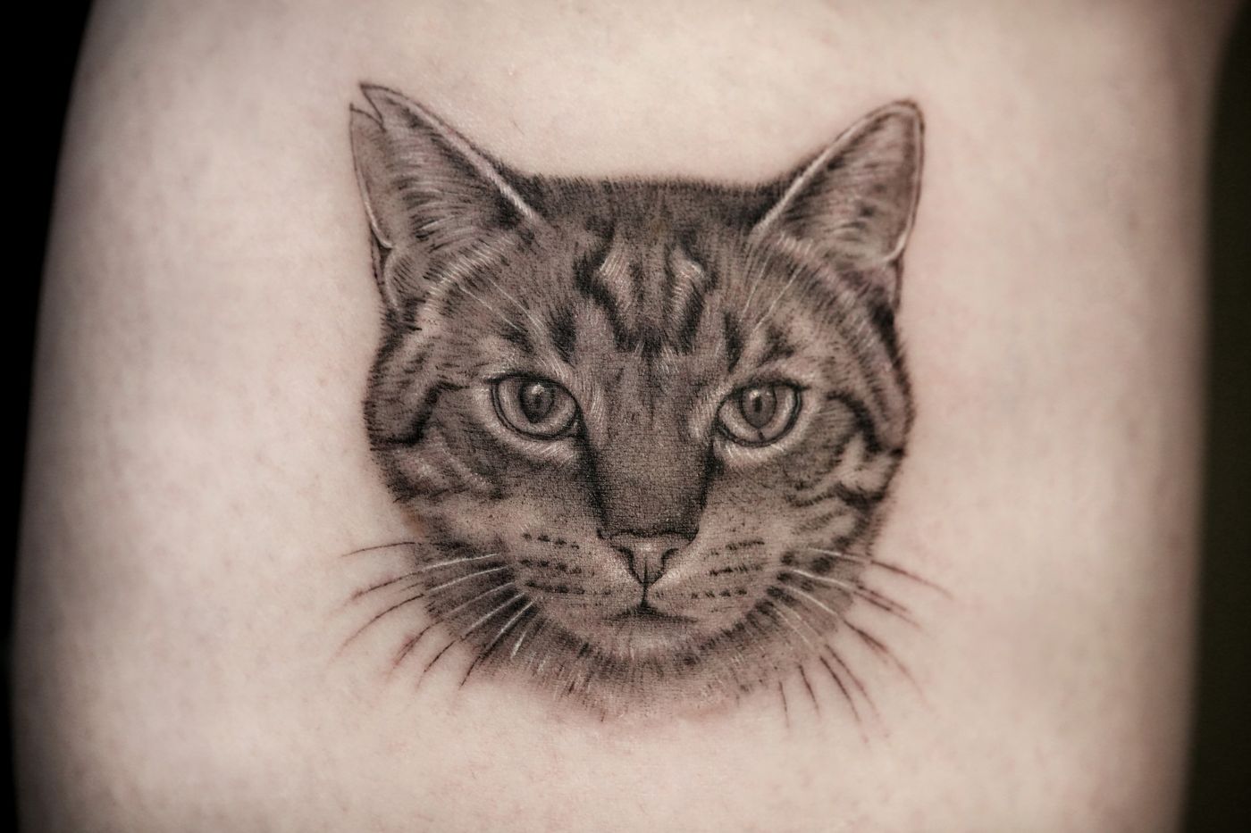 Mikrorealismus-Tattoo: Porträt einer getigerten Katze mit feinen Schnurrhaaren