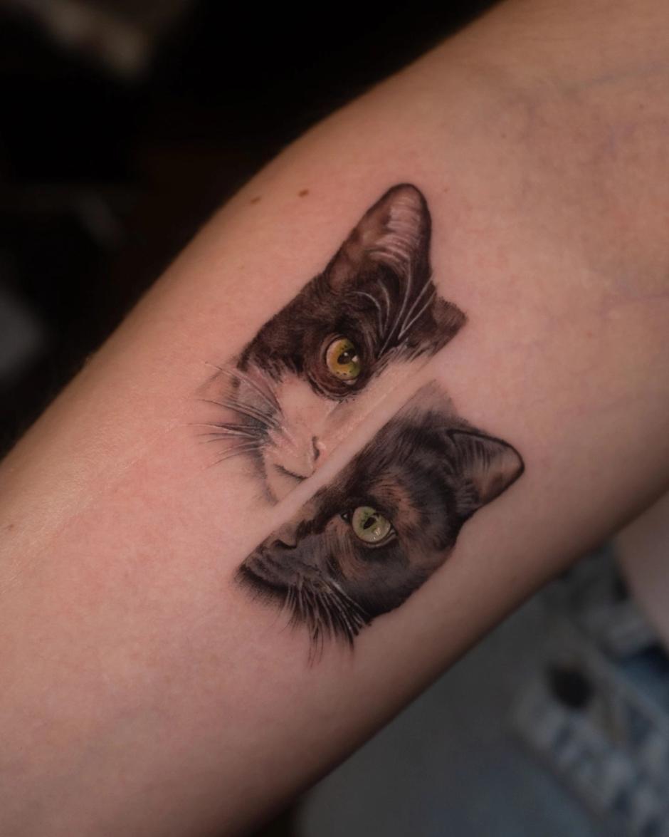 Detailliertes Farb-Mikrorealismus-Tattoo mit zwei Katzen