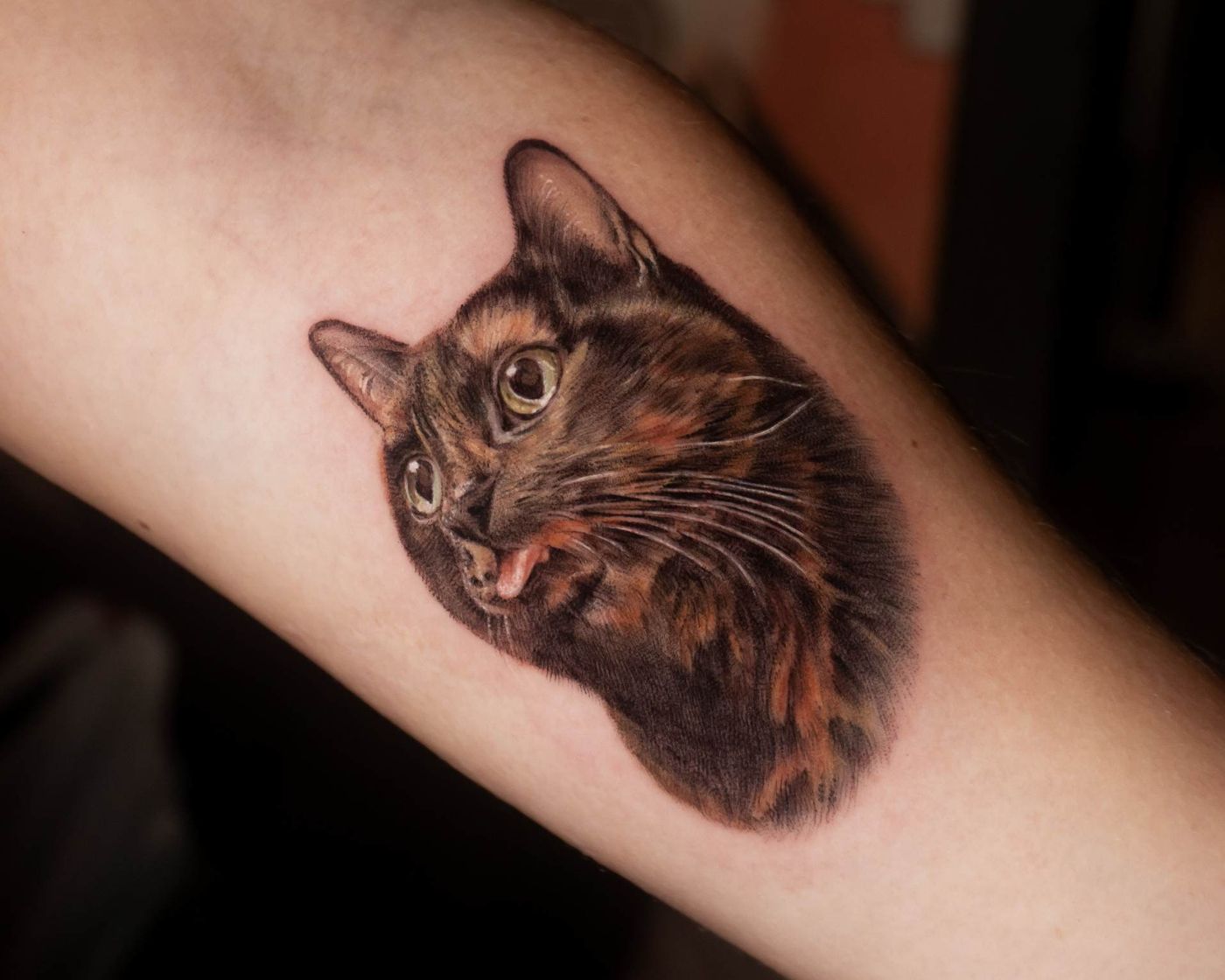 Verspieltes Farb-Mikrorealismus-Tattoo einer Katze