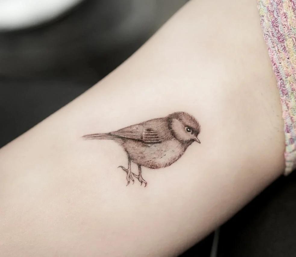 Schwarz-Grau-Fineline-Mikrorealismus-Tattoo eines Vogels