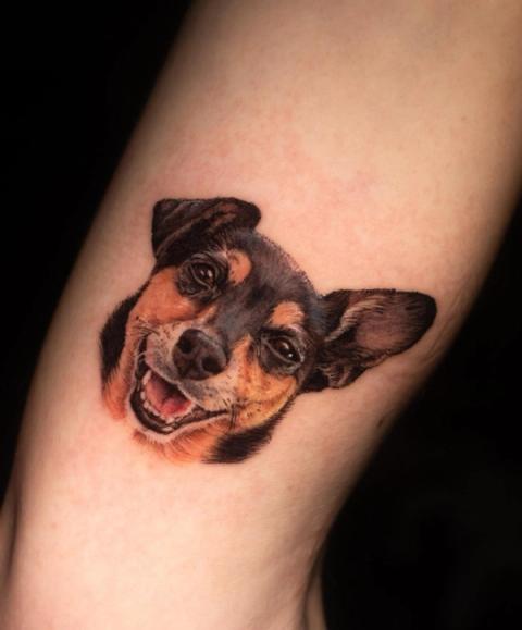 Farb-Mikrorealismus-Porträt eines fröhlichen Hundes