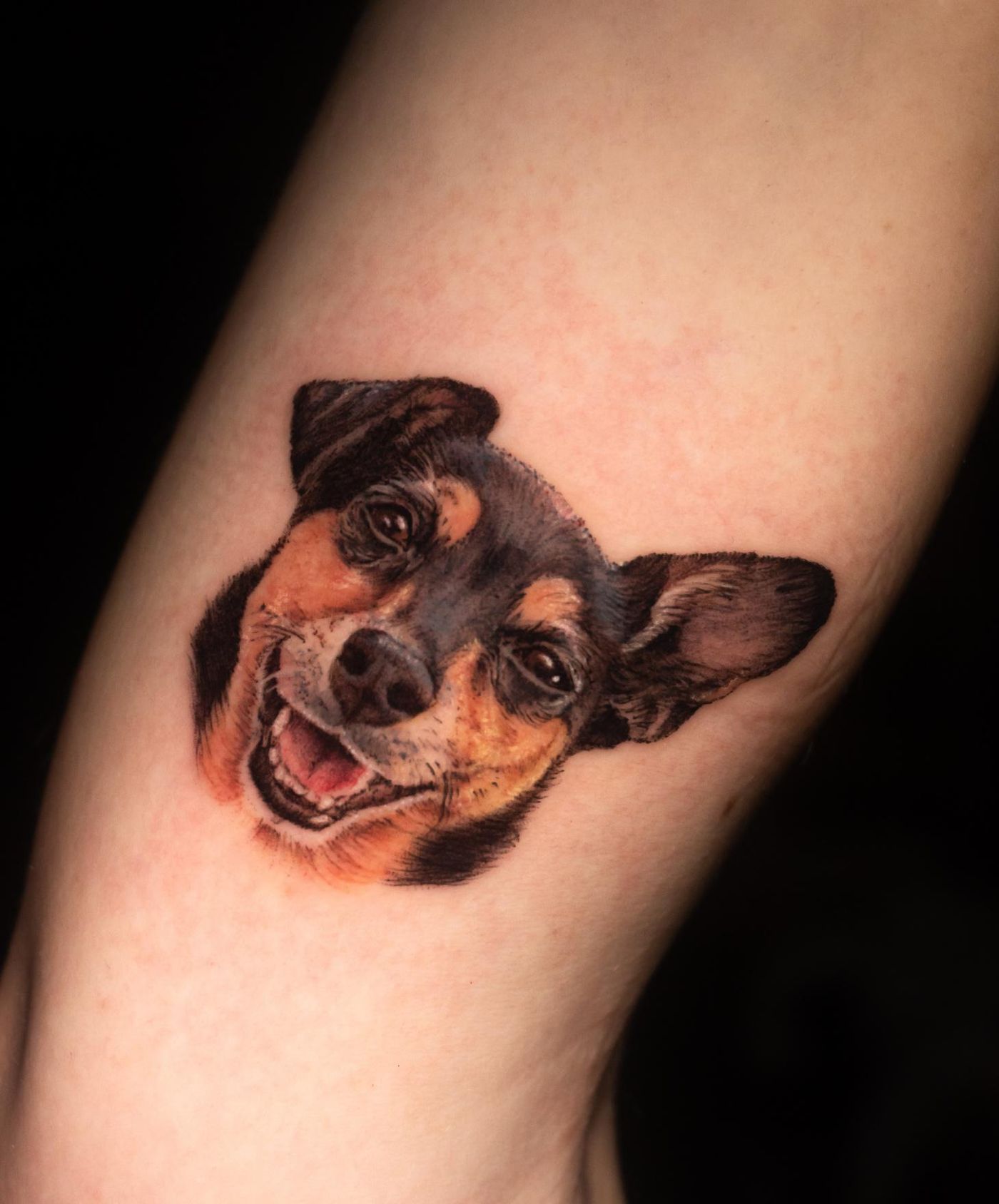 Farb-Mikrorealismus-Porträt eines fröhlichen Hundes