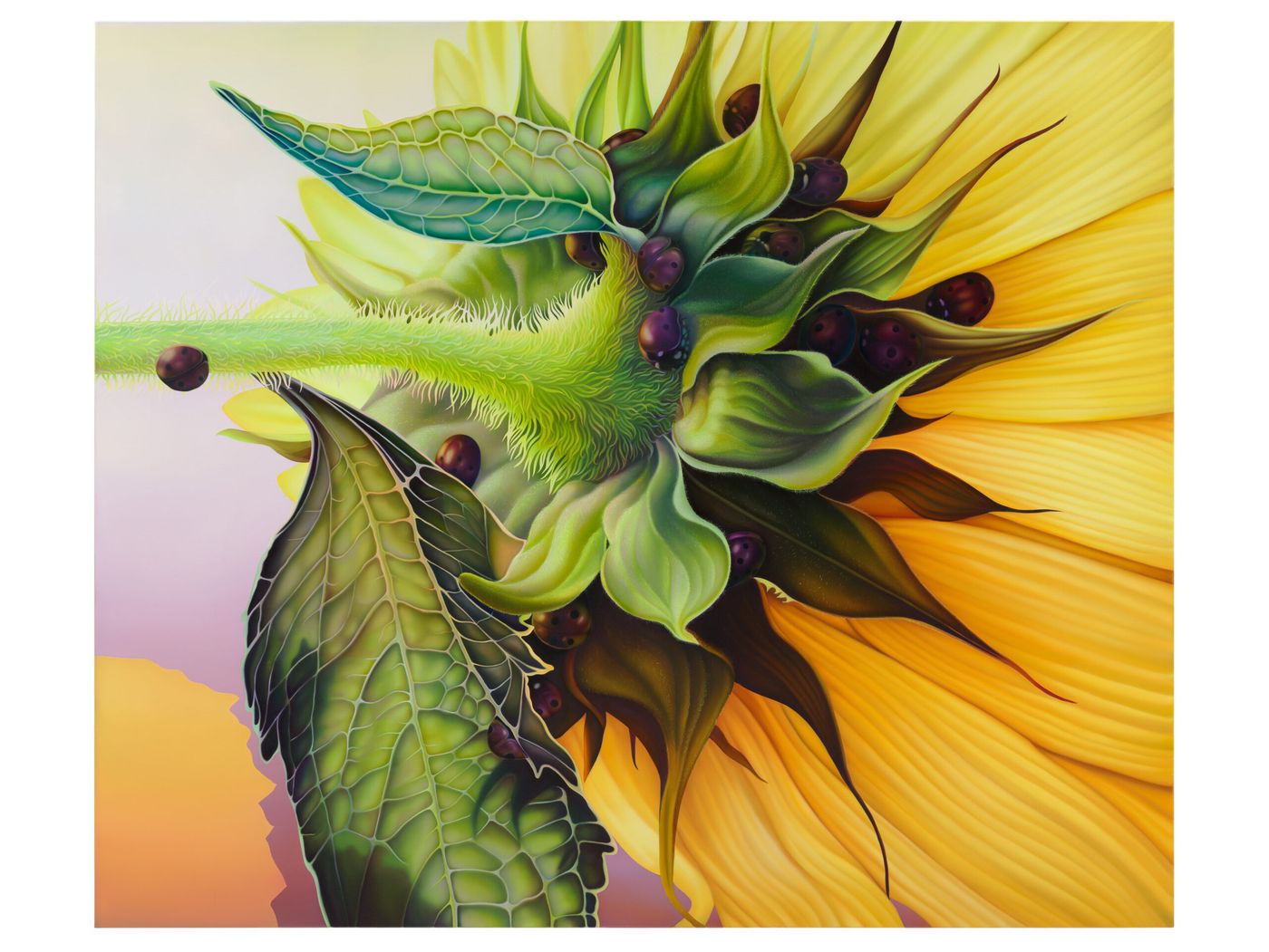 Melanie Loureiro, Photo: Ivo Faber, Seven Dots of Plenty, 2024_25, 160 x 190 cm, Oil on canvas