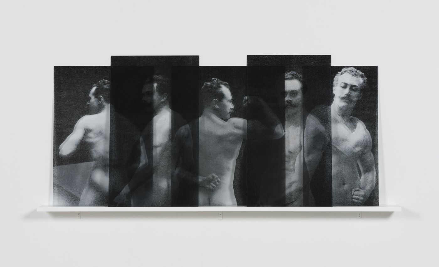 Milja Laurila. "Un Beau Spécimen", 2016. From the series "In Their Own Voice". 5 UV-prints on acrylic glass. 87 x 204 x 15 cm. © the artist. Courtesy: Persons Projects.