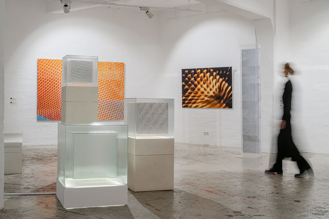 Ausstellungsansicht, Licht im Blick – Fotografie im Werk von Heinz Mack , ZERO foundation, 2026. Foto: Annika Bethan