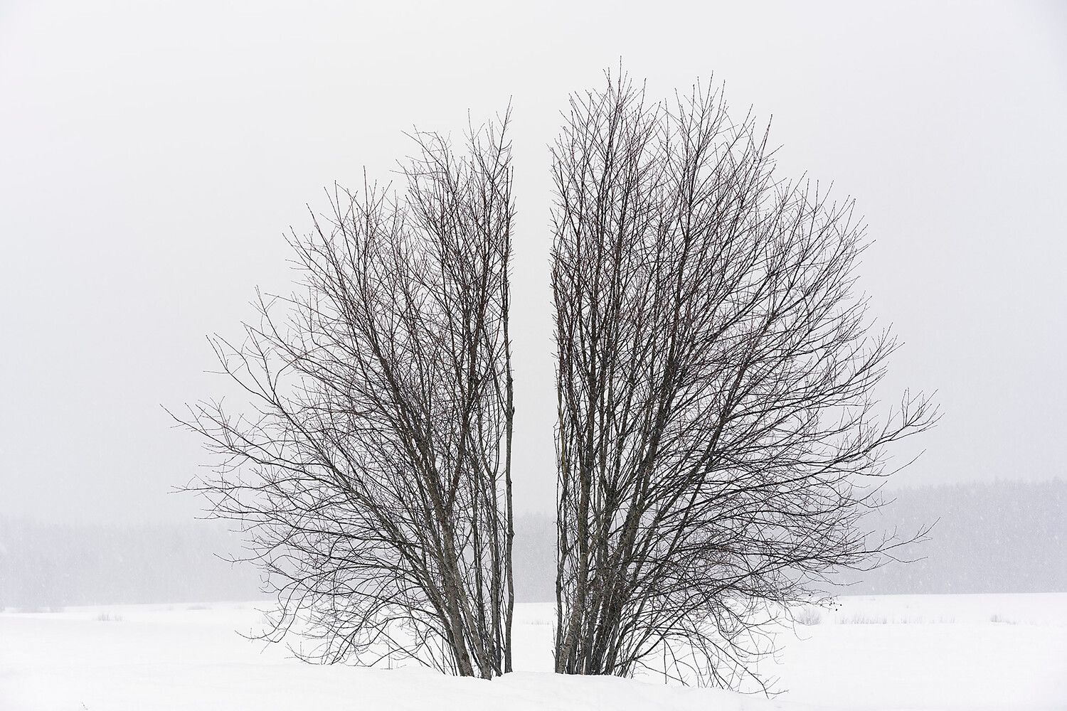 Tales of Transformation - curated by Linda Peitz