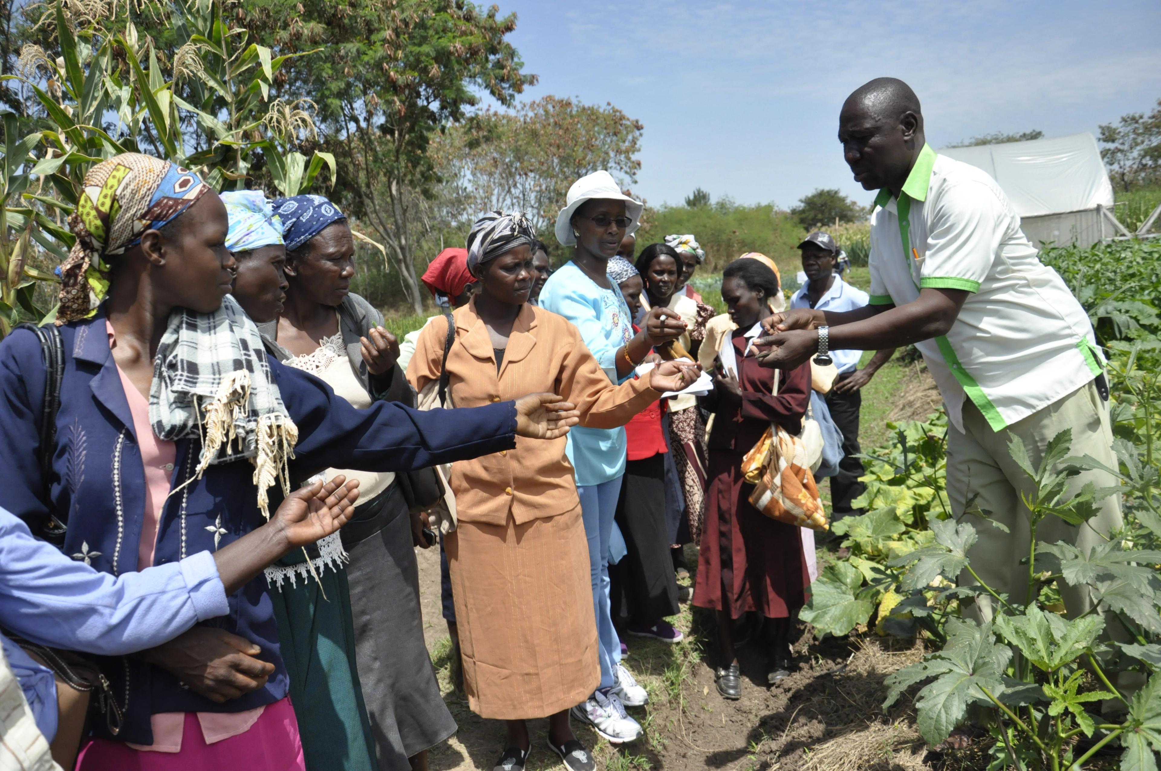 An agricultural extension officer briefing a group of women farmers in a field.