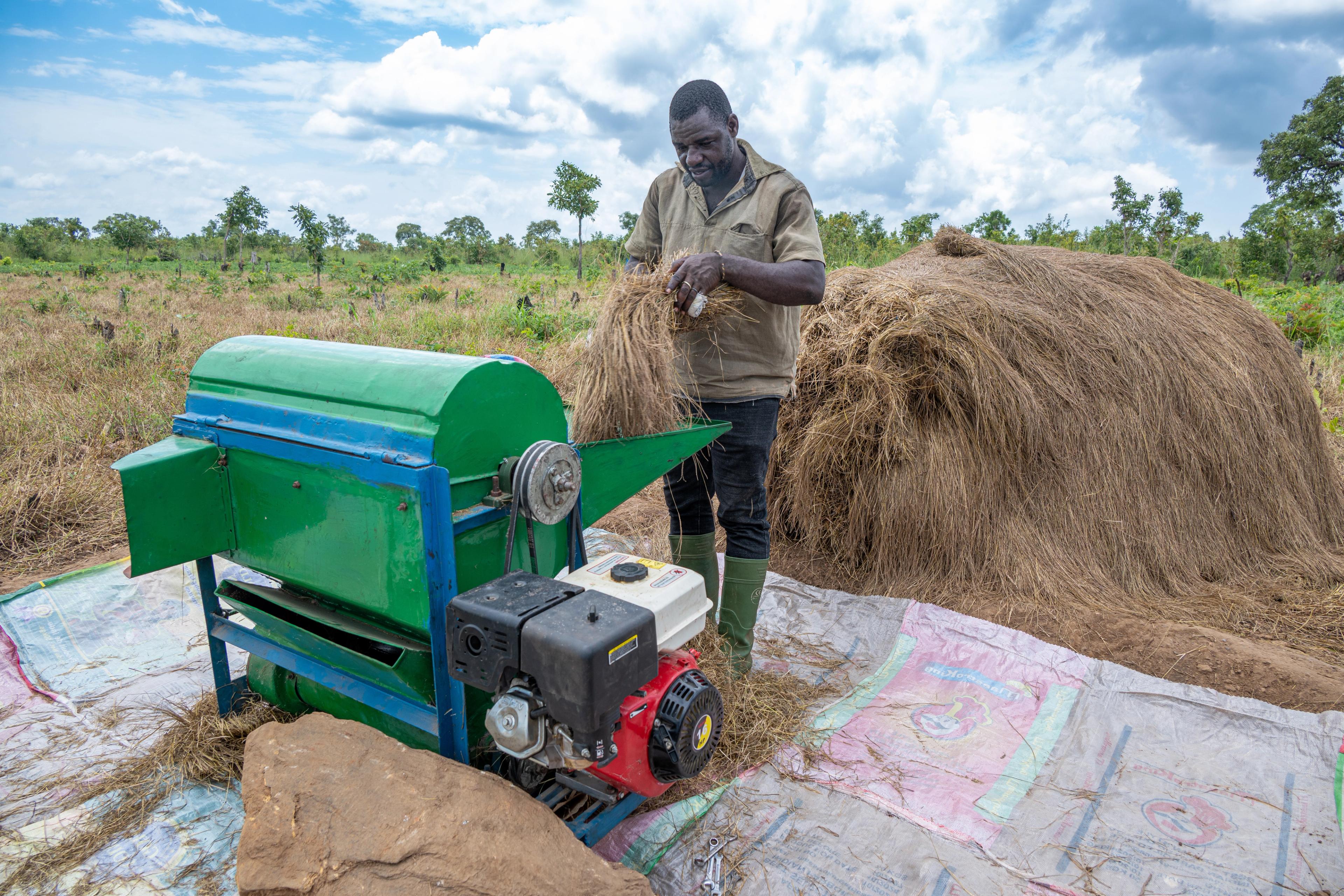 A farmer threshing fonio with a small-scale machine in northern Benin.