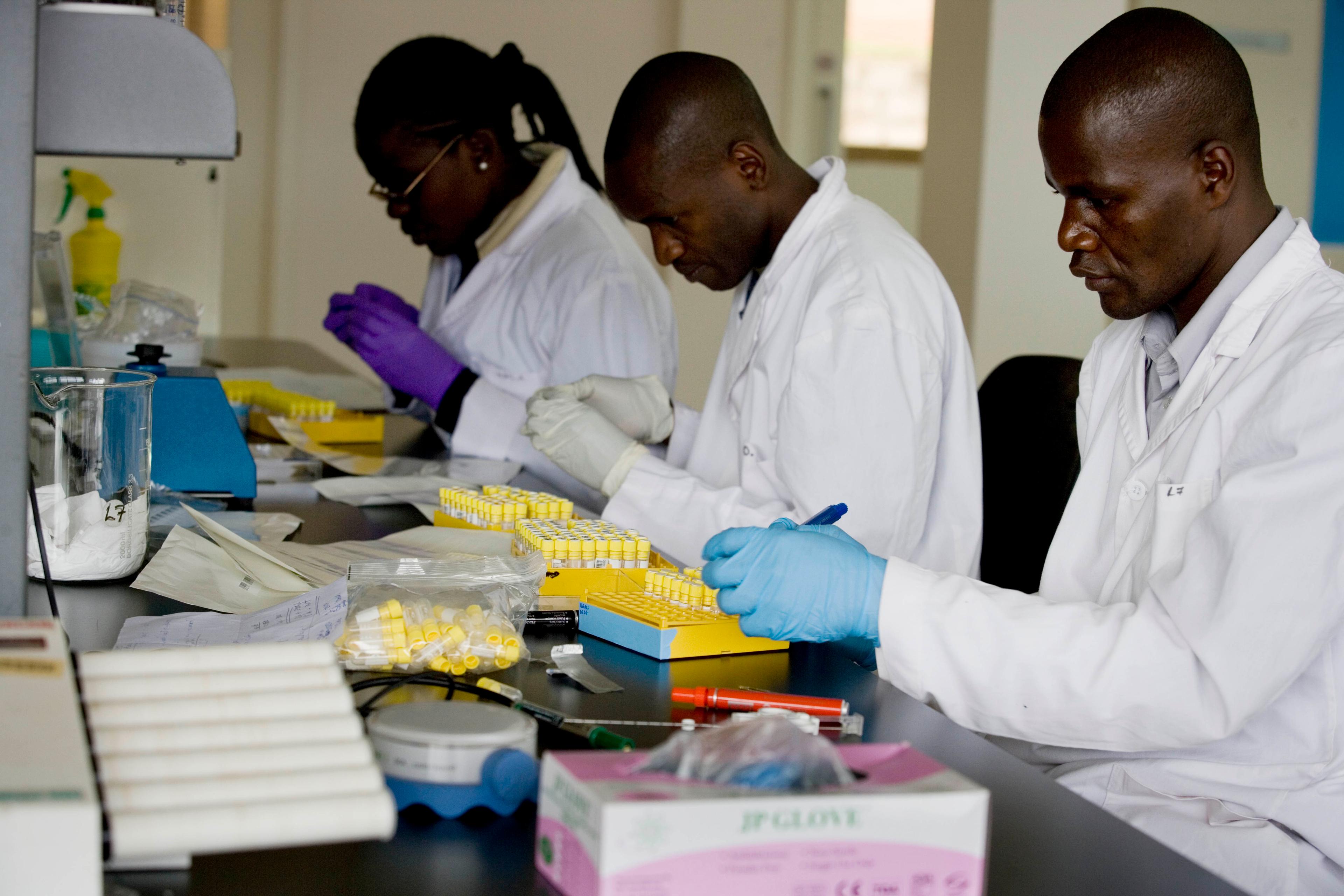 Researchers in lab coats analysing crop samples in a laboratory.
