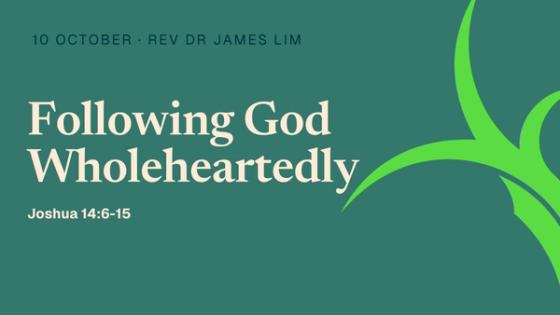 Following God Wholeheartedly