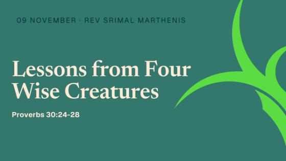 Lessons from Four Wise Creatures