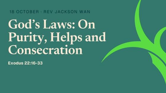 God’s Laws: On Purity, Helps and Consecration