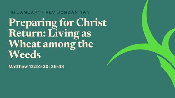 Preparing for Christ Return: Living as Wheat among the Weeds